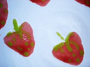 Erdbeeren auf weißem Grund